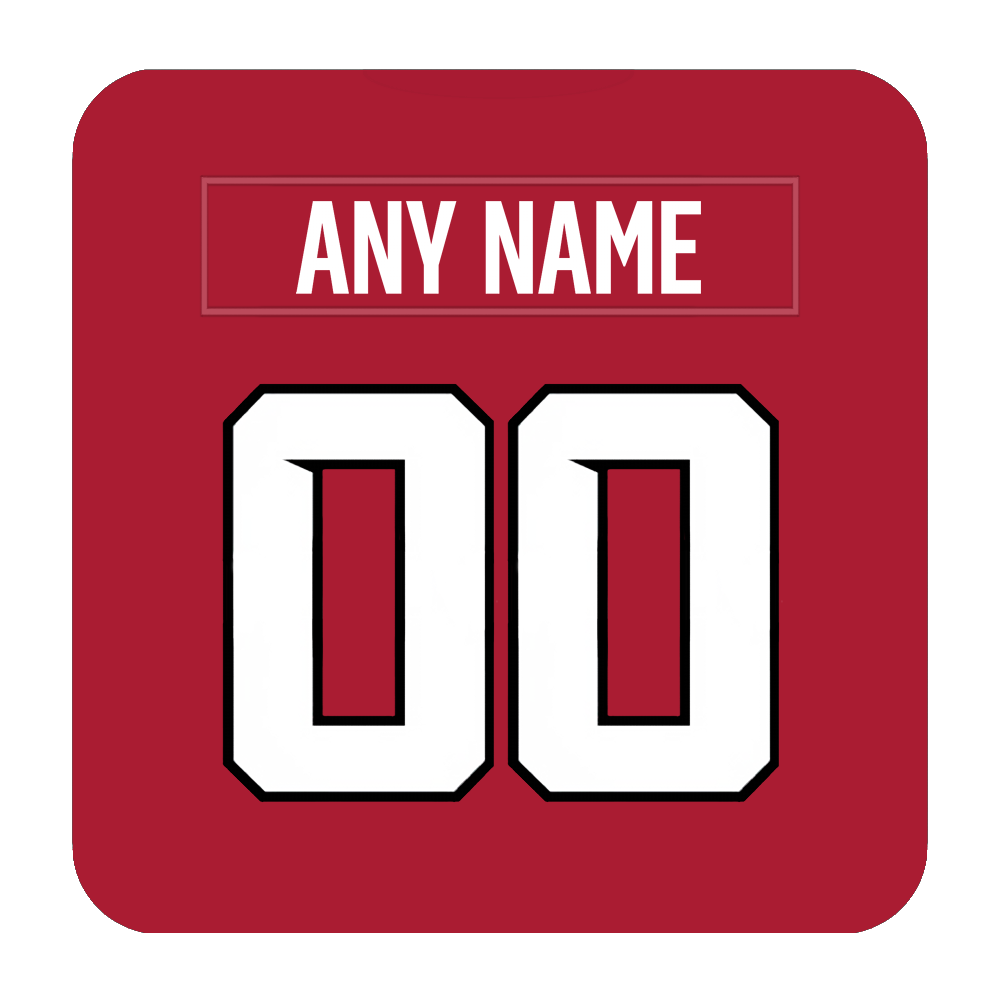 Atlanta Falcons Coaster Any Name Any Number
