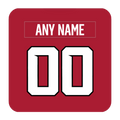Atlanta Falcons Coaster Any Name Any Number