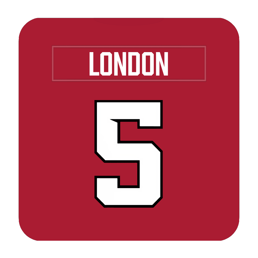 Atlanta Falcons Coaster Any Name Any Number