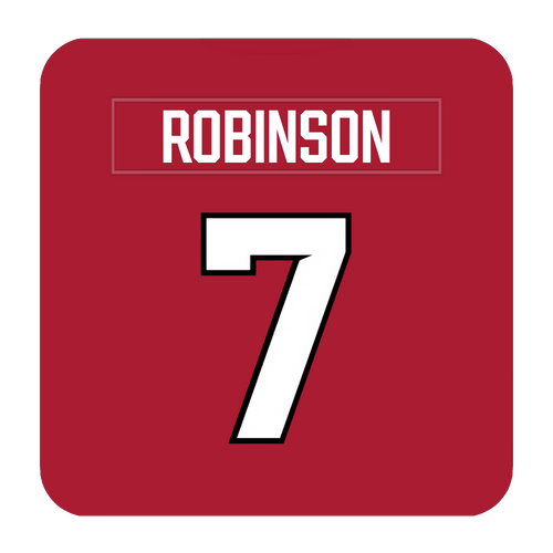 Atlanta Falcons Coaster Any Name Any Number