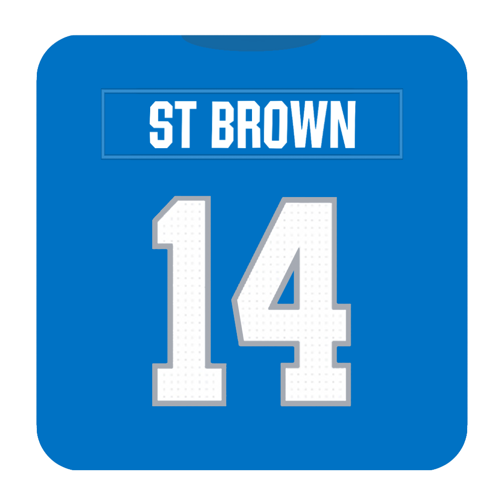 Detroit Lions Coaster Any Name Any Number