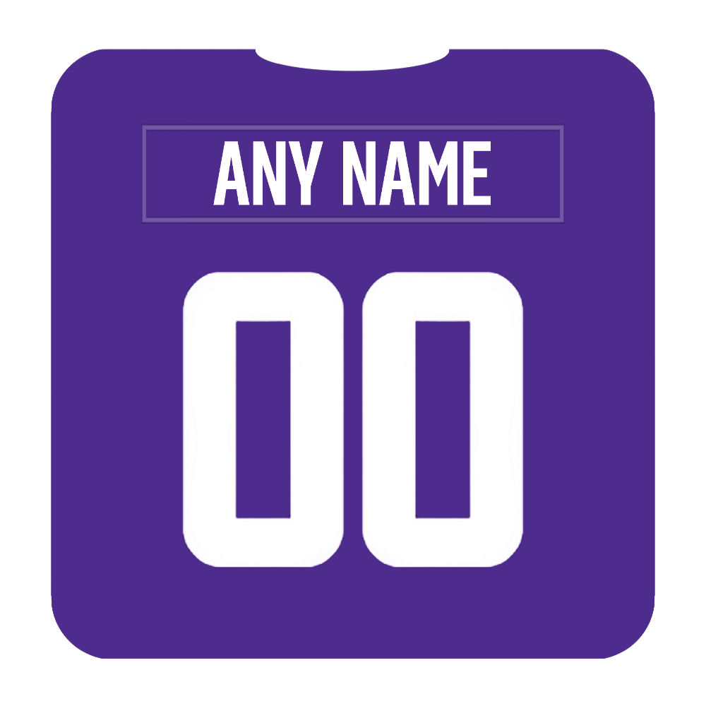 Minnesota Vikings Coaster Any Name Any Number