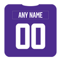 Minnesota Vikings Coaster Any Name Any Number