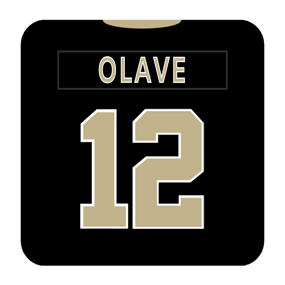 New Orleans Saints Coaster Any Name Any Number